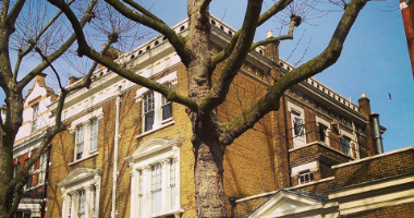 London School of English